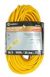 Coleman Cable 01289 16/3 100-Foot Insulated Outdoor Extension Cord with Lighted End