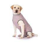 Pack of 2 Recovery Suit for Dog Bod