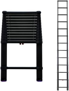 Telesteps
