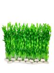 BEGONDIS 14 PCS Artificial Seaweed Water Plants for Aquarium, Plastic Fish Tank Plant Decorations
