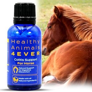 Animals 4Ever All-Natural Horse Colitis Support - Helps Prevent Diarrhea & Dehydration - Supplements for Horses - Homeopathic & Highly Effective - 300 Tablets