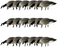 Avian X AXP Honkers Fusion Pack Lesser Canada Goose Decoys, Oversized Realistic Feeder Bodies, Flocked Heads, and Slotted Decoy Bag, Set of 18