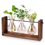 Foosibo Birthday Gifts for Women, Unique Gifts for Women, Iridescent Glass Plant Propagation Station, Tabletop Plant Bulb Vase for Home Office Garden Decor