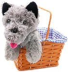 Kansas Girl Cute Dog In Basket Fanc