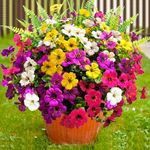 TSTWETO 16 PCS Artificial Flowers for Outdoors, Artificial Plants Outdoor Fake Flowers UV Resistant, Outdoor Fake Plants Plastic Faux Flowers for Porch Window Box Garden