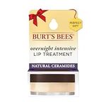 Burt's Bees Overnight Lip Sleeping 