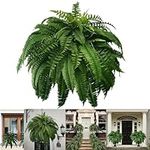 Cridano Mowaven Ferns, Monnromall Ferns, UV Resistant Lifelike Artificial Boston Fern, Faux Ferns for Outdoor Planter Large Artificial Plants Indoor (1Pc-24leaves)