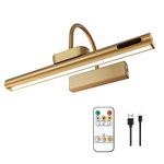 LYTARA Dimmable Wireless Picture Light with Remote Control and Timer, Rechargeable 5000mAh Battery Wall Sconce for Wall Pictures, Gallery Artwork, Paintings, Portraits, Dartboards