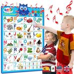 Bilingual Alphabet Learning Toys fo