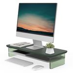 FENGE 2-Tier Acrylic Dual Monitor Stand Riser,23.6 Inch Acrylic Monitor Stand with Storage Organizer for Home, Office and Business, for Desk, Laptop, PC, TV,Green