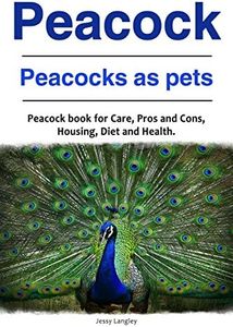 Peacock. Peacocks as pets. Peacock book for Care, Pros and Cons, Housing, Diet and Health.