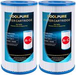 POOLPURE Type A or C (29000E/59900E) Replacement Pool Filters for Intex Pool Pump, Easy Set Pool Filters, Summer Escapes or Summer Waves Above Ground Pools (2)