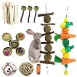 Rabbit Chew Toys, Hamster Chew Toys Set, Natural Bunny Chew Toys, Small Pets Teeth Care Molar Exercise Bunny Toys for Rabbits, Guinea Pig, Hamster and Other Small Animals (19PCS)