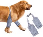 MANON ROSA Dog Elbow Pads – Knee Wr