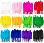 Whaline 360 Pcs Colorful Feathers, 