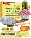 HOME GROWN Deluxe Succulent & Cactus Seed Grow Kit - Complete Indoor Cactus & Succulent Kit, Ceramic Succulent Pots, Water Drip Trays & Grow Guide