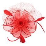 Pratiharye Present fascinator hats for women black - Flower Mesh Ribbons Feathers on a Headband and a Clip Tea Party Headwear for Girls and Women - Pillbox hat