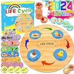 HeyKiddo Life Cycle Toys for Kids, 