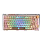 KiiBoom Phantom 81 75% Hot Swappable Gasket-Mounted Mechanical Keyboard, BT5.0/2.4GHz/USB-C Wired Wireless NKRO Gaming Keyboard with South-Facing RGB, 4000mAh Battery for Win/Mac(Clear)