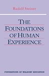 The Foundations of Human Experience: (CW 293 & 66)