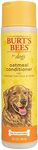 Burt's Bees Oatmeal Conditioner, 10