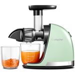 AMZCHEF Slow Juicer Machine - Masticating Juicer with Reversing Function to Prevent Jamming - Cold Press Juicer with Brush and 2 Cups - Silent Juice Extractor - Green