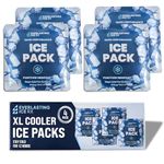 Everlasting Ice Rx Reusable Cooling Lunch Box Ice Pack 600g 4 Pack, ELI-902