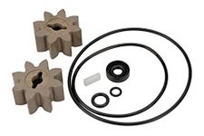 GPI Overhaul Kit for EZ-8 Fuel Transfer Pump Manufactured on or Before Jan. 8, 2016, Motor Shaft Key, Two Gears, and Replacement Seals (GPI Genuine Part 13750005)