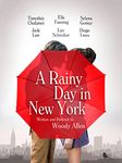 A Rainy Day in New York