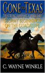 Stormy Beginnings On The Guadalupe: A Western Adventure Novel (The Stirling Family Saga Book 3)