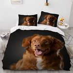 Single Duvet Cover Set Nova Scotia Retriever 3d Printed Bedding Quilt Cover Set 3 Pieces Soft Microfiber Comforter Cover with Zipper Closure and 2 Pillowcases For boys and girls -135x200cm