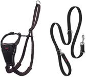 Halti No Pull Harness and Training 