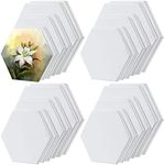 24 Pieces Canvas for Painting Bulk Blank Canvas, Cotton Canvas Panel Canvas Board Art Painting Supplies for Kids Artist Hobby Painters Beginners Gift (Hexagon)