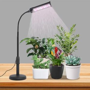 LED Plant 