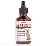 Vitamin B for Dogs | Vitamin B Comp