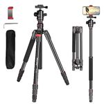 Compact Camera Tripod Manbily 60" Aluminum Tripod Lightweight Travel Outdoor Tripod Monopod 63" with 360° Panoramic 36mm Ball Head for DSLR Cameras Camcorders Phone Video 60mm Quick Release Plate