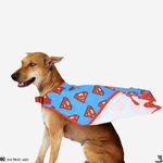 TDIT X�DC Superman Dog Capes/Costumes (XL)