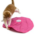 Blackhole Catch The Tail Cat Toy Interactive Play-Catch, Electric, Rotating Feather, Motion, Automatic, Best Undercover Mouse Under Blanket Cat Toy