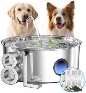 Dog Water 