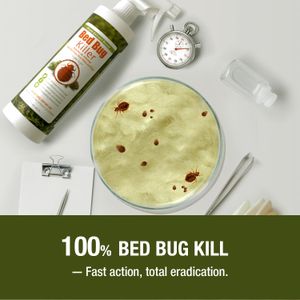 EcoVenger Bed Bug Killer Spray 480ml – Natural Insect Control