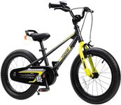 RoyalBaby EZ Kids Bike, 16 Inch Bal