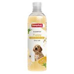 Shampoo For Puppies