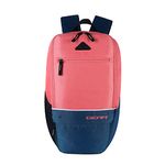 Gear SUPERIOR XL 17L Water Resistant School Bag/Daypack/Casual Backpack/College Bag for Men/Women (Pink-Blue)