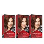 Revlon Colorsilk Beautiful Color, Dark Golden Brown, 3 Count