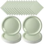 Sage Paper Plates Sage Green Paper 