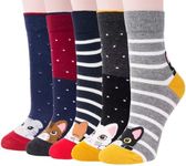 Chalier 5 Pairs Ladies Womens Funny