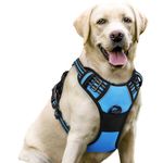rabbitgoo Dog Harness Large Dog No Pull Pet Harness with 2 Leash Clips, Adjustable Soft Padded Pet Vest, Reflective No-Choke with Easy Control Handle for Training or Walking, Baby Blue, L