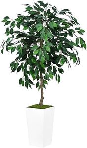 ASTIDY Artificial Ficus Tree 5FT - Faux Indoor Tree with White Tall Planter - Fake Ficus Floor Plant Potted - Artificial Silk Tree for Home Office Living Room Decor Indoor