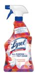 Lysol Antibacterial All Purpose Daily Cleaner, Sun-kissed Linen, 650ml, No Harsh Chemical Residue, 650mL (Packaging May Vary)
