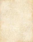 Great Papers! Rustic Antique Letterhead, 4-Designs(20 each), 8.5" x 11", 80 count (2019006)